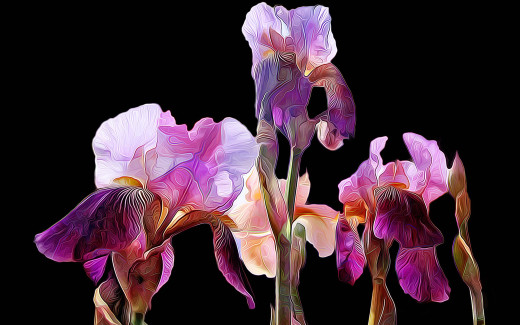 972335 (a): :1920x1200